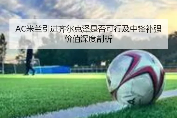 AC米兰引进齐尔克泽是否可行及中锋补强价值深度剖析