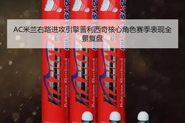 AC米兰右路进攻引擎普利西奇核心角色赛季表现全景复盘